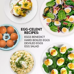 Egg Cookers Nostalgia 7-Egg Aqua Egg Cooker 15 Egg Cookers Nostalgia 7-Egg Aqua Egg Cooker -MegaChef Sales Shop aqua nostalgia egg cookers ec7aq 31 1000