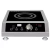 Food Warmers SPT 2600-Watt Commercial Induction Cooktop (Countertop)