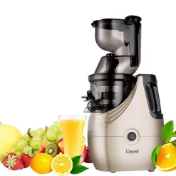 Juicers Boyel Living Champagne Slow Masticating Juice Extractor,Juicer Machine Champagne -MegaChef Sales Shop champagne boyel living juicers sj44804 31 1000