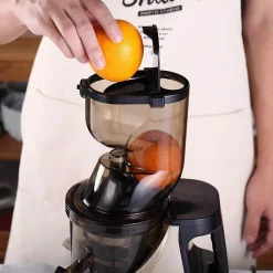 Juicers Boyel Living Champagne Slow Masticating Juice Extractor,Juicer Machine Champagne -MegaChef Sales Shop champagne boyel living juicers sj44804 44 1000