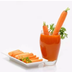 Juicers Boyel Living Champagne Slow Masticating Juice Extractor,Juicer Machine Champagne -MegaChef Sales Shop champagne boyel living juicers sj44804 76 1000