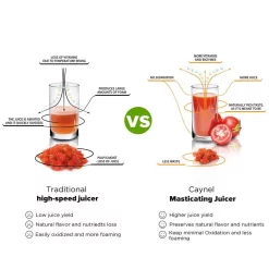 Juicers Boyel Living Slow Masticating Juice Extractor,Cold Press Juicer Machine Red -MegaChef Sales Shop red boyel living juicers sj44803 76 1000