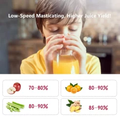 Juicers Boyel Living 200 W Stainless Steel Slow Masticating Juicer With Quiet Motor And Reverse Function, Silver -MegaChef Sales Shop silver boyel living juicers gbk gsc36 76 1000