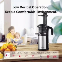 Juicers Boyel Living 200 W Stainless Steel Slow Masticating Juicer With Quiet Motor And Reverse Function, Silver -MegaChef Sales Shop silver boyel living juicers gbk gsc36 fa 1000